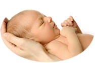 Ultra Sound Baby Womb North Strand Ultra Sound Myrtle Beach